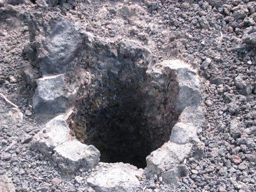 Lava Cast Forest